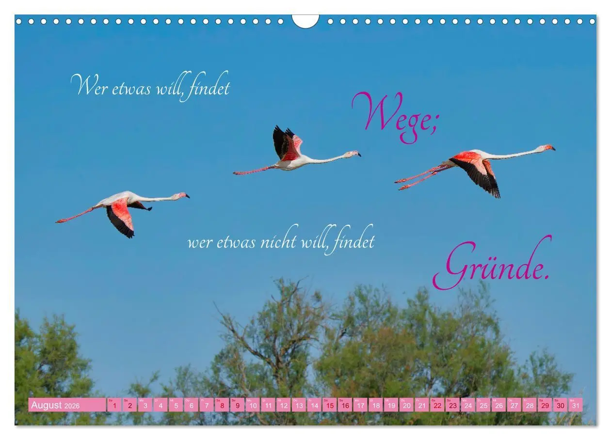 Bild: 9783457393253 | The Power Of Pink (Wandkalender 2026 DIN A3 quer), CALVENDO...