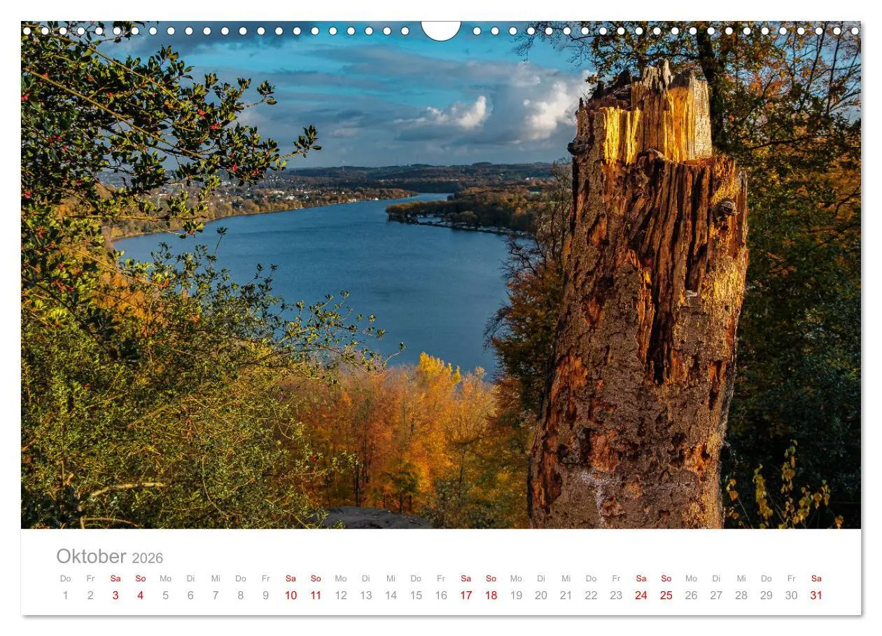 Bild: 9783457913253 | Buntes Essen 2026 (Wandkalender 2026 DIN A3 quer), CALVENDO...