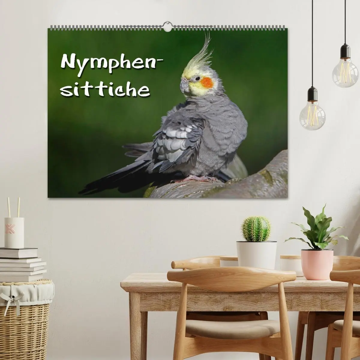 Bild: 9783516173253 | Nymphensittiche (Wandkalender 2026 DIN A2 quer), CALVENDO...