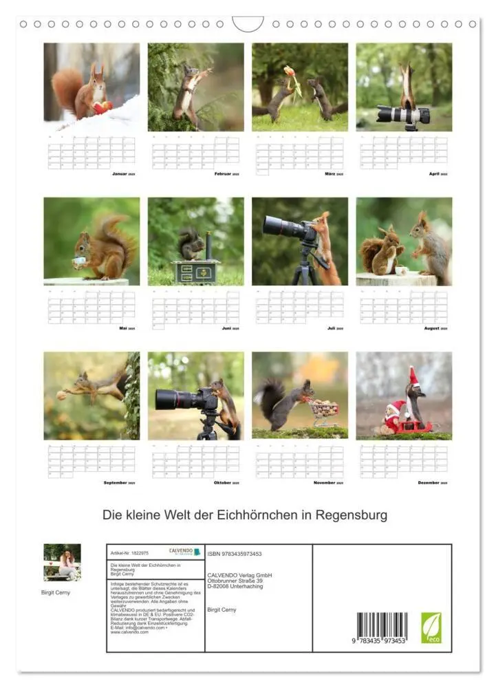 Bild: 9783435973453 | Die kleine Welt der Eichhörnchen in Regensburg (Wandkalender 2025...