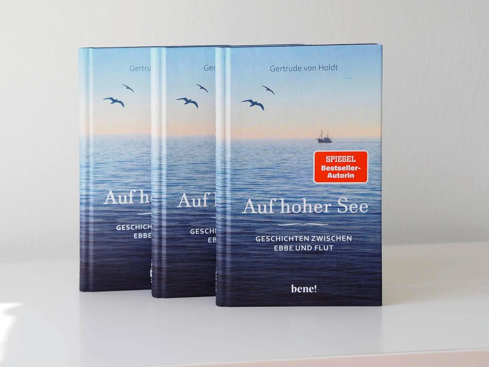 Bild: 9783963403453 | Auf hoher See | Gertrude von Holdt | Buch | 176 S. | Deutsch | 2025