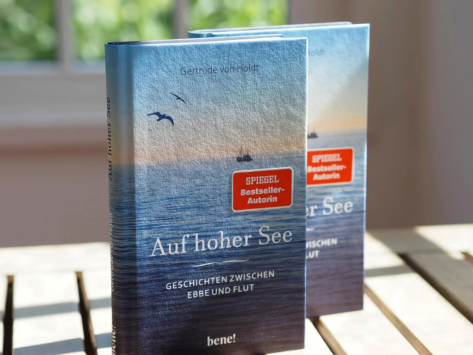 Bild: 9783963403453 | Auf hoher See | Gertrude von Holdt | Buch | 176 S. | Deutsch | 2025