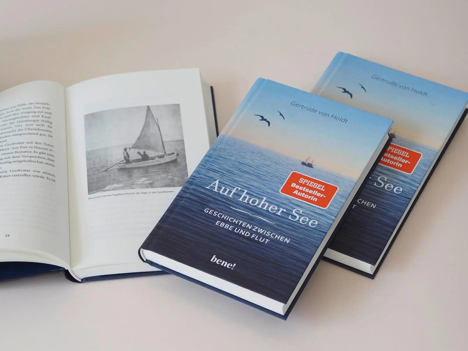 Bild: 9783963403453 | Auf hoher See | Gertrude von Holdt | Buch | 176 S. | Deutsch | 2025
