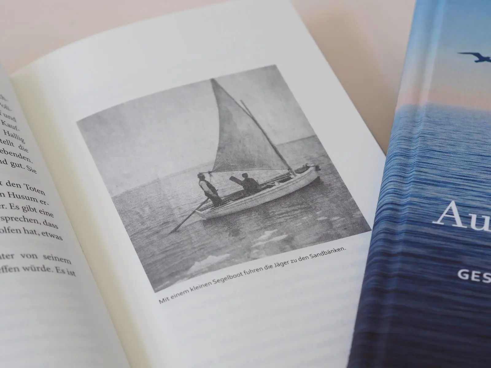 Bild: 9783963403453 | Auf hoher See | Gertrude von Holdt | Buch | 176 S. | Deutsch | 2025