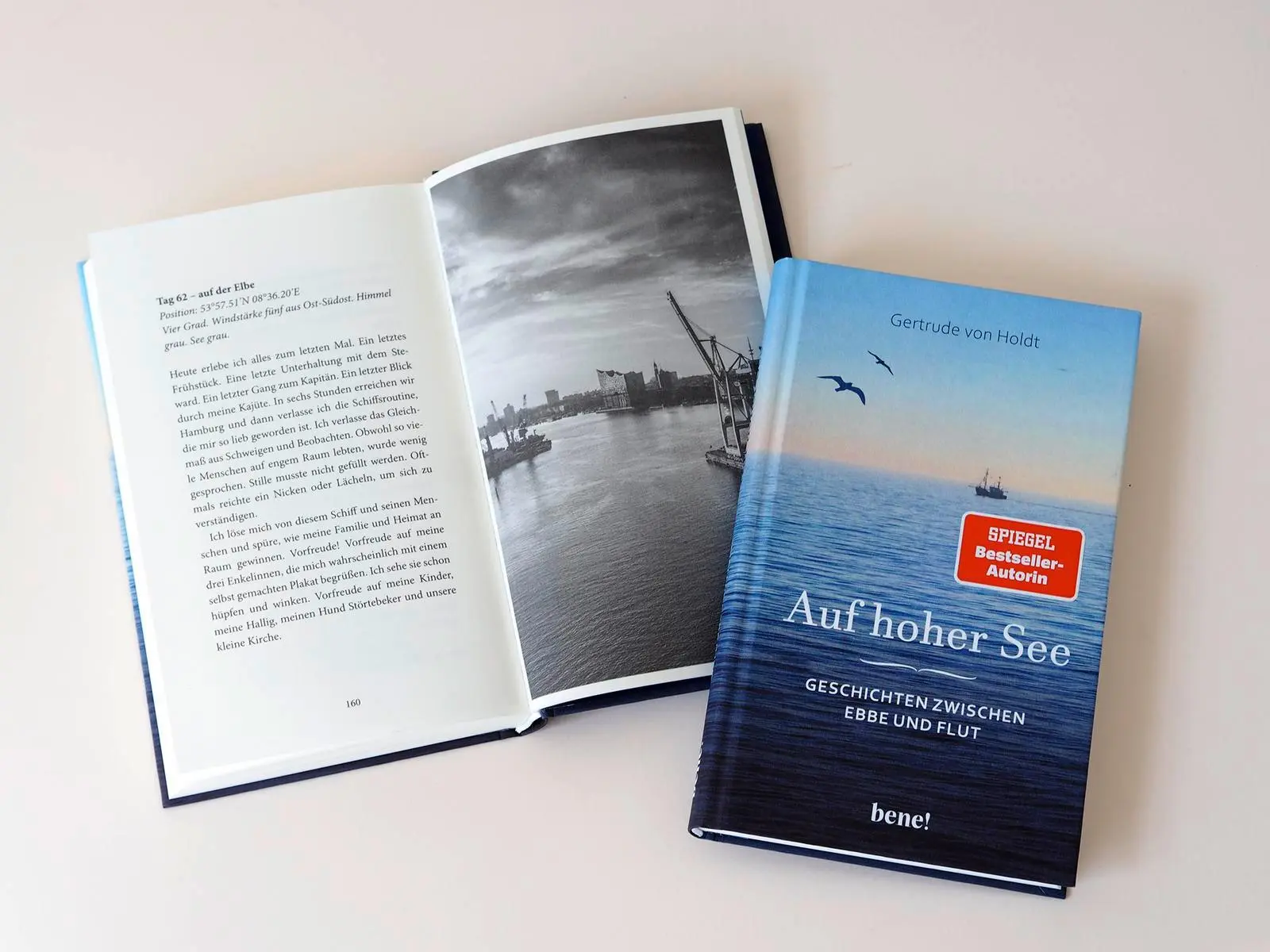 Bild: 9783963403453 | Auf hoher See | Gertrude von Holdt | Buch | 176 S. | Deutsch | 2025