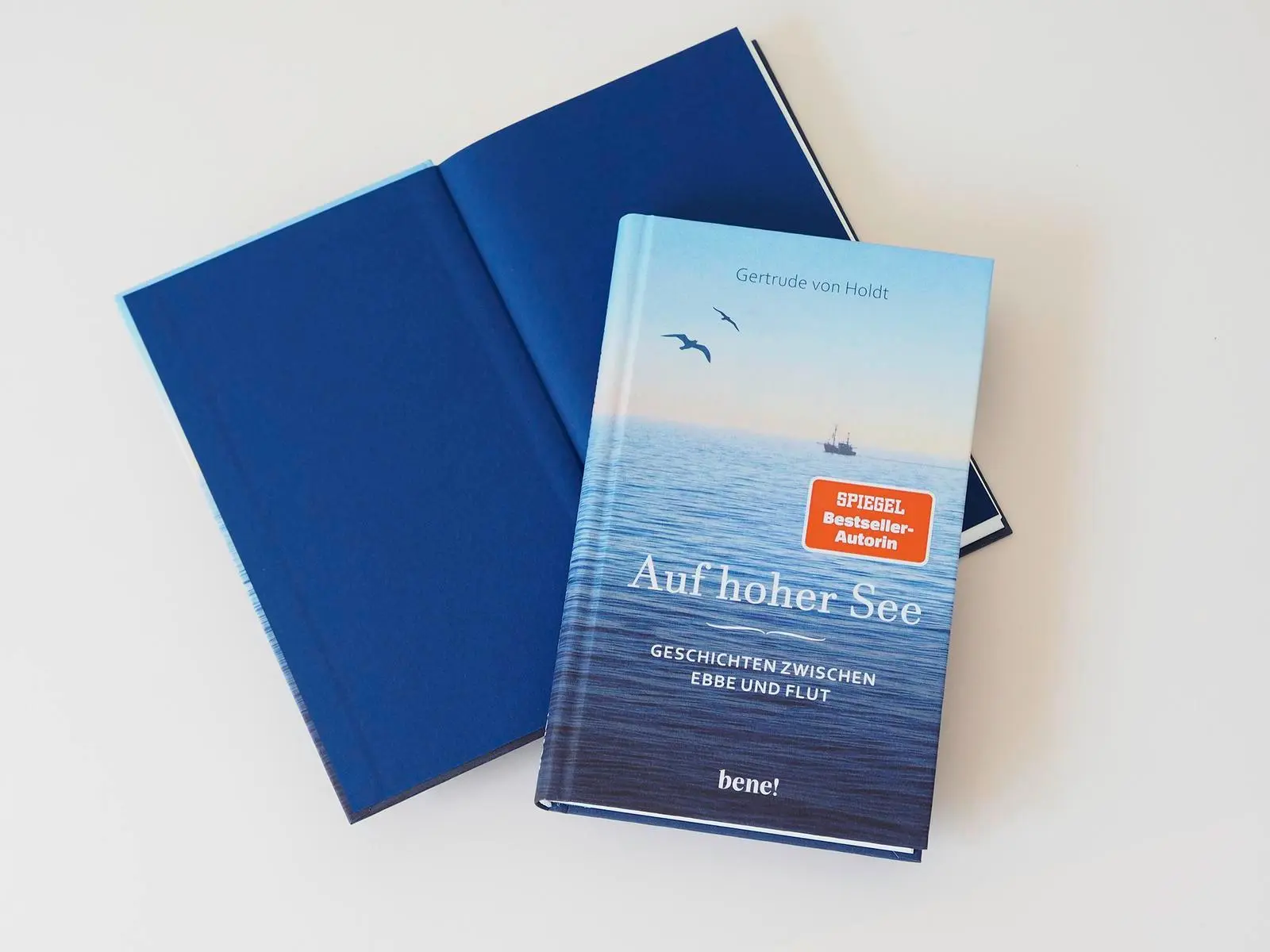 Bild: 9783963403453 | Auf hoher See | Gertrude von Holdt | Buch | 176 S. | Deutsch | 2025