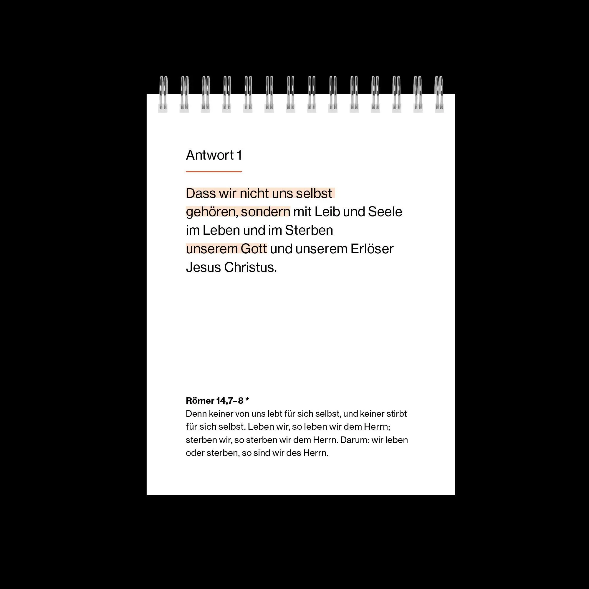 Bild: 9783986653453 | New City Katechismus (Tischkalender) | Verbum Medien (u. a.) | Buch