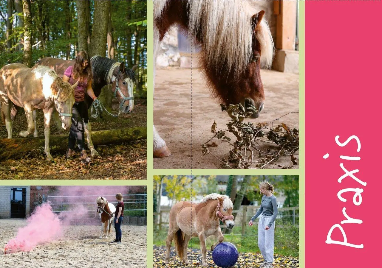 Bild: 9783275023653 | Enrichment für Pferde | Bereicherung für Stall und Training | Buch