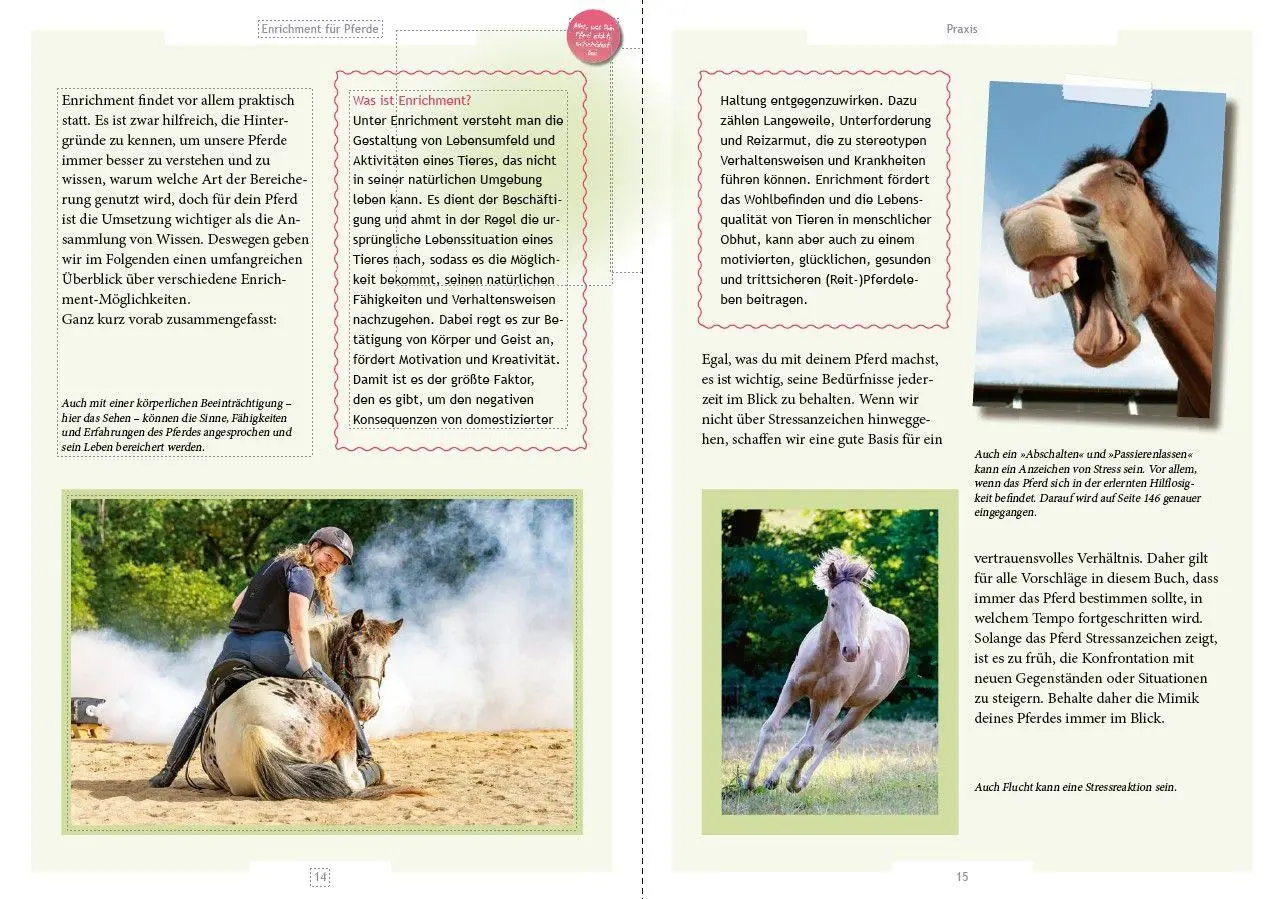 Bild: 9783275023653 | Enrichment für Pferde | Bereicherung für Stall und Training | Buch