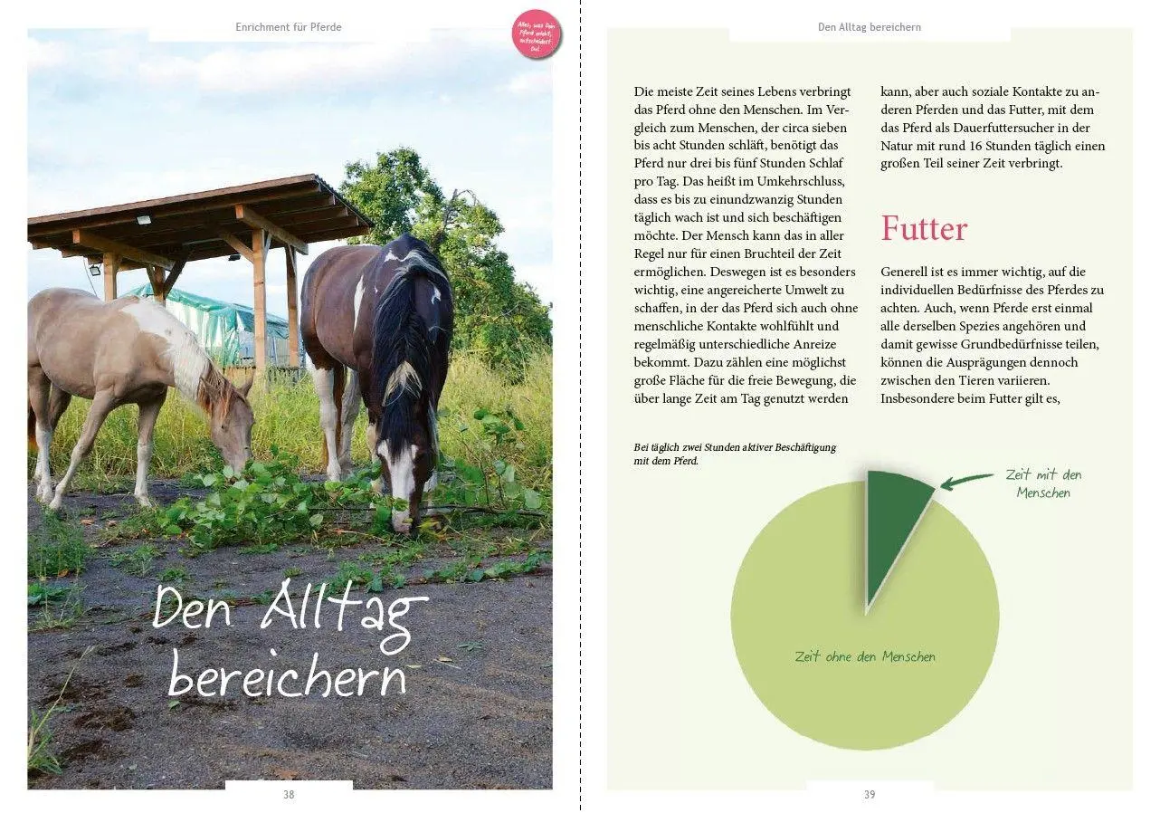 Bild: 9783275023653 | Enrichment für Pferde | Bereicherung für Stall und Training | Buch