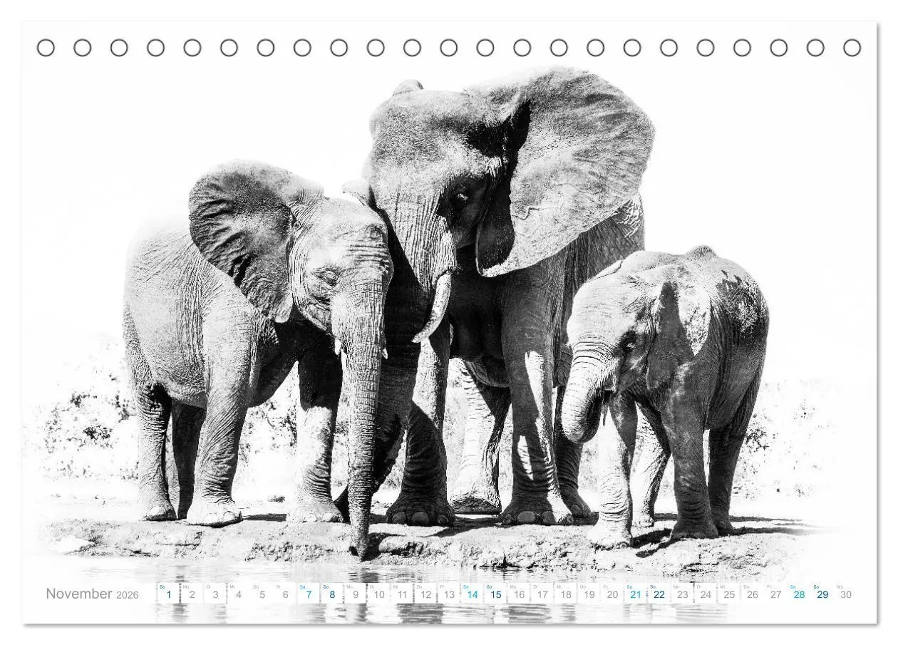 Bild: 9783457803653 | AFRIKA - Schwarz-weiss Fotografien im modernen "High Key" Look...
