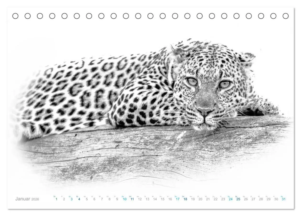 Bild: 9783457803653 | AFRIKA - Schwarz-weiss Fotografien im modernen "High Key" Look...