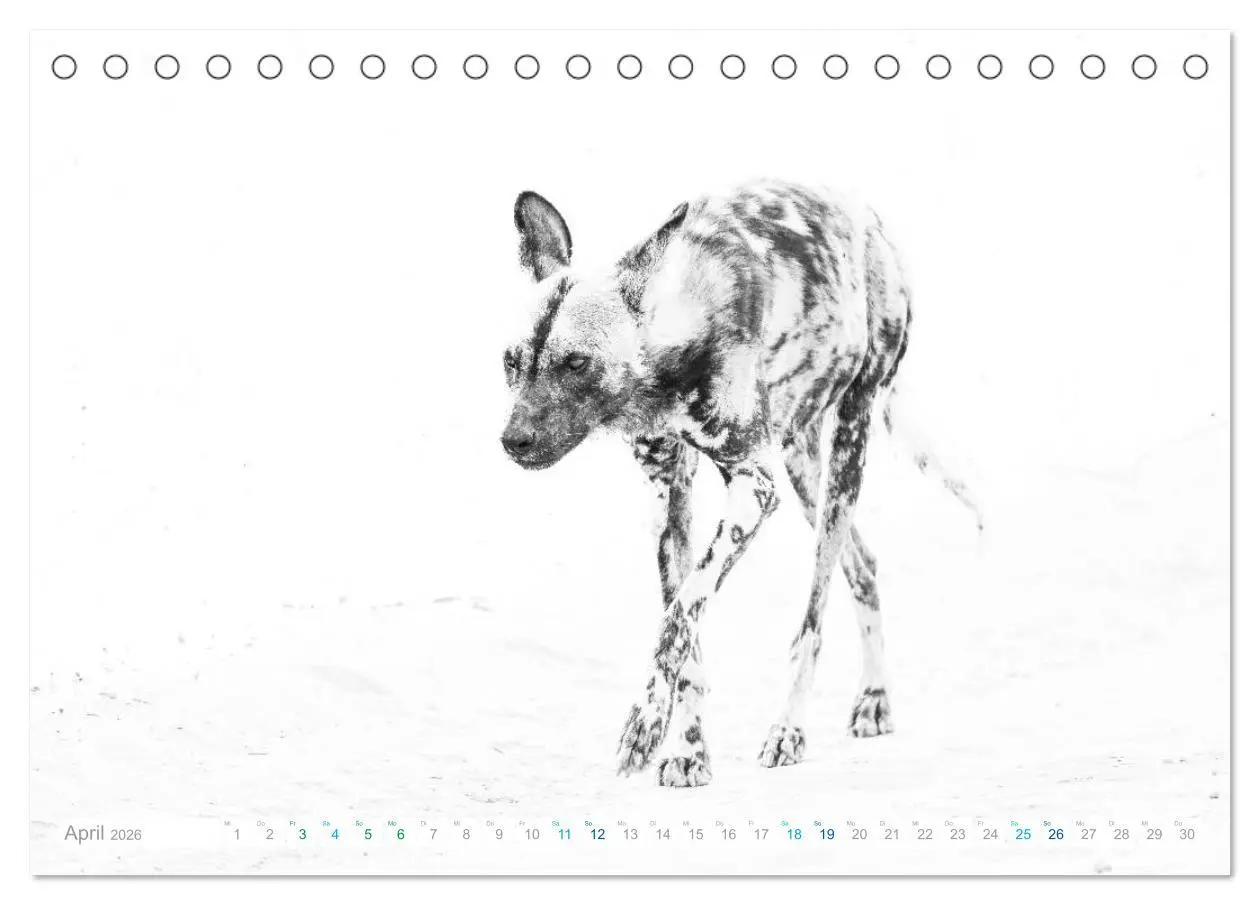 Bild: 9783457803653 | AFRIKA - Schwarz-weiss Fotografien im modernen "High Key" Look...