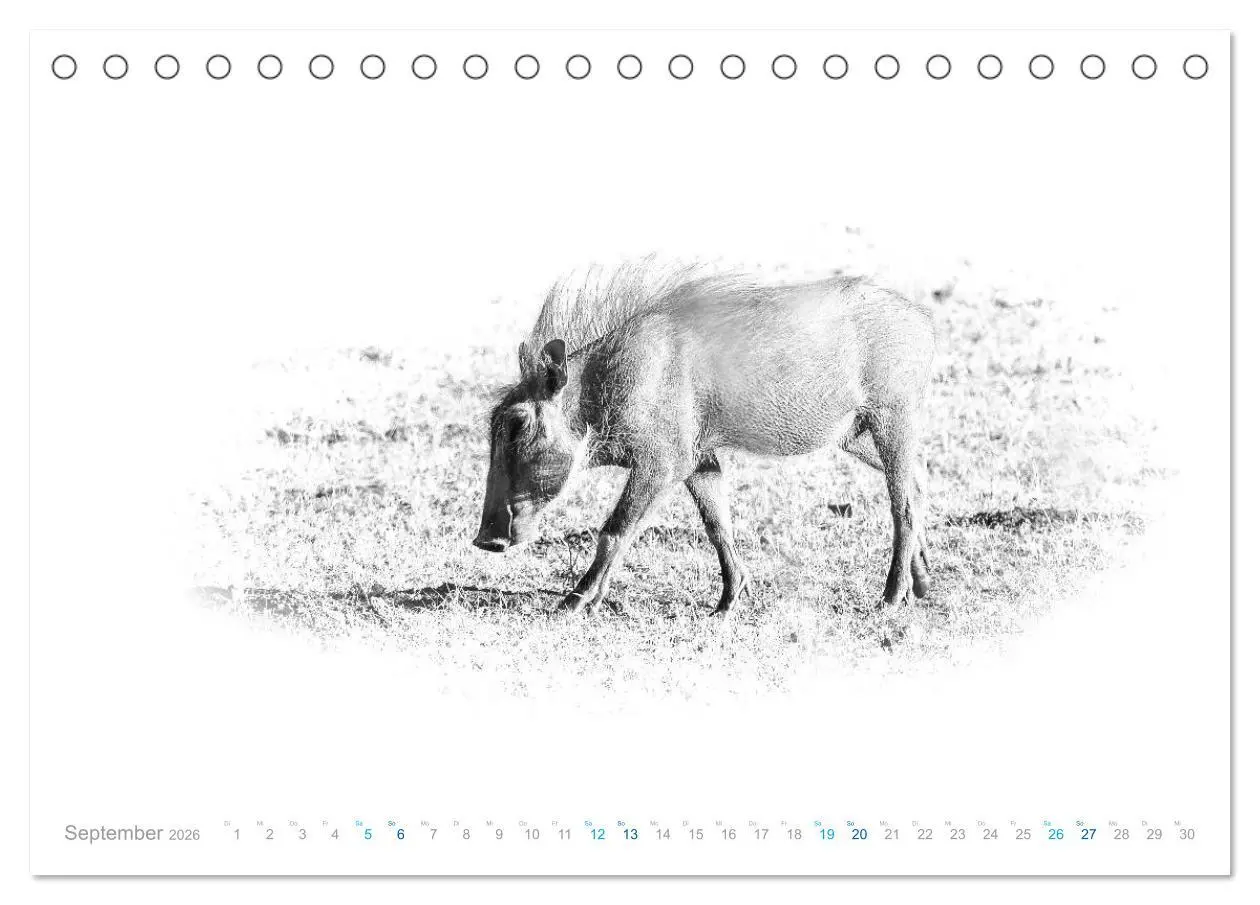 Bild: 9783457803653 | AFRIKA - Schwarz-weiss Fotografien im modernen "High Key" Look...