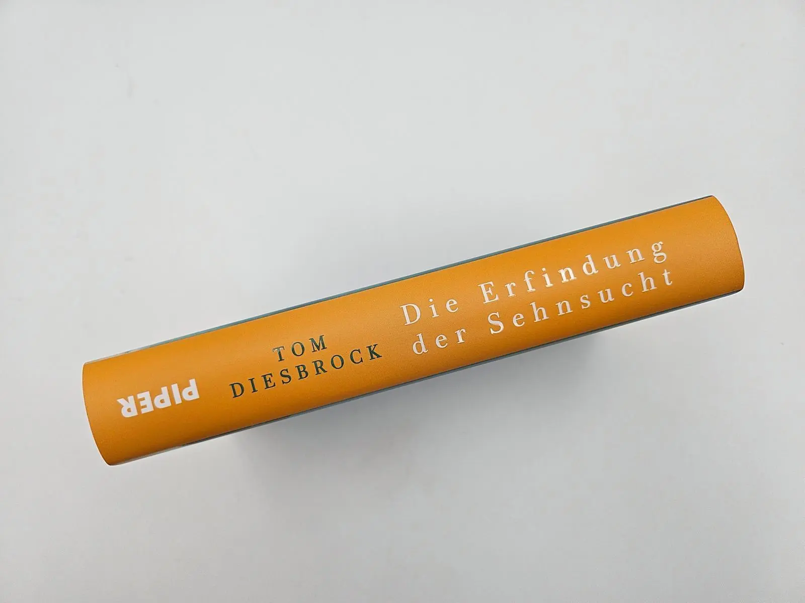 Bild: 9783492073653 | Die Erfindung der Sehnsucht | Tom Diesbrock | Buch | 336 S. | Deutsch