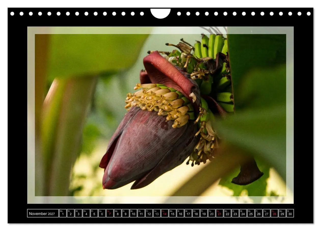 Bild: 9783594043653 | Kerala - Impressionen aus Südindien (Wandkalender 2027 DIN A4...