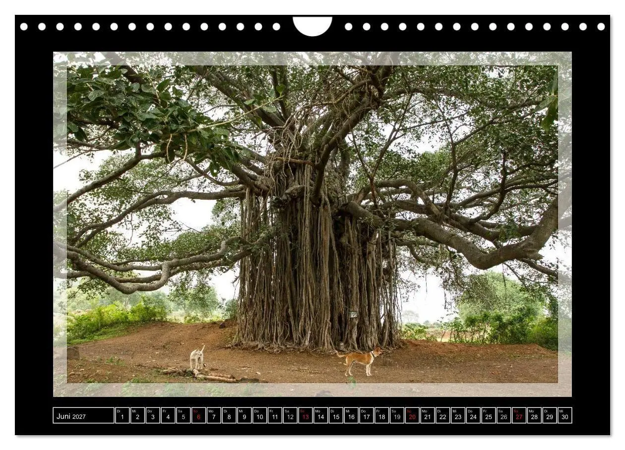 Bild: 9783594043653 | Kerala - Impressionen aus Südindien (Wandkalender 2027 DIN A4...