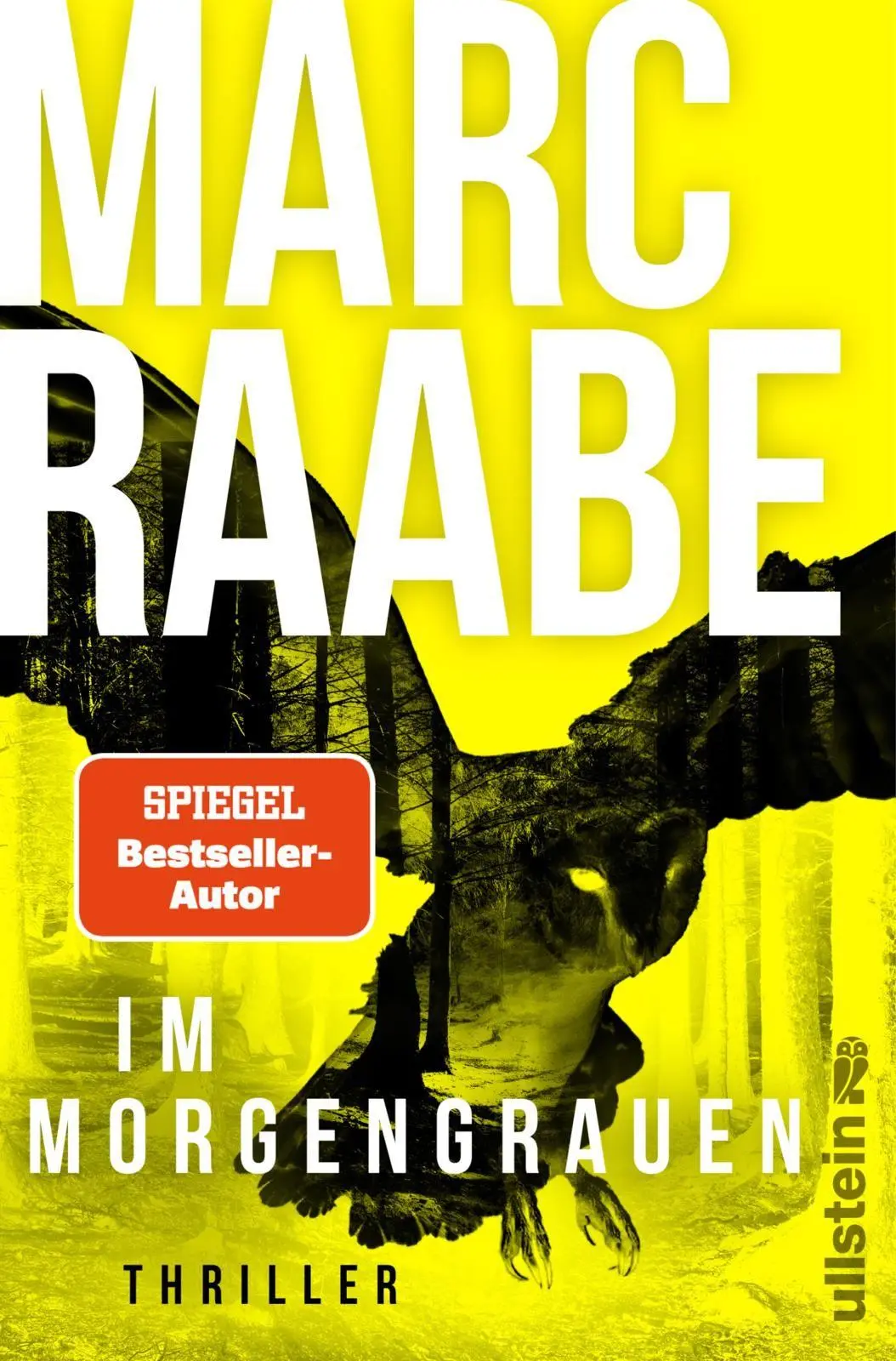 Cover: 9783864933653 | Im Morgengrauen | Marc Raabe | Taschenbuch | Art Mayer-Serie | 576 S.
