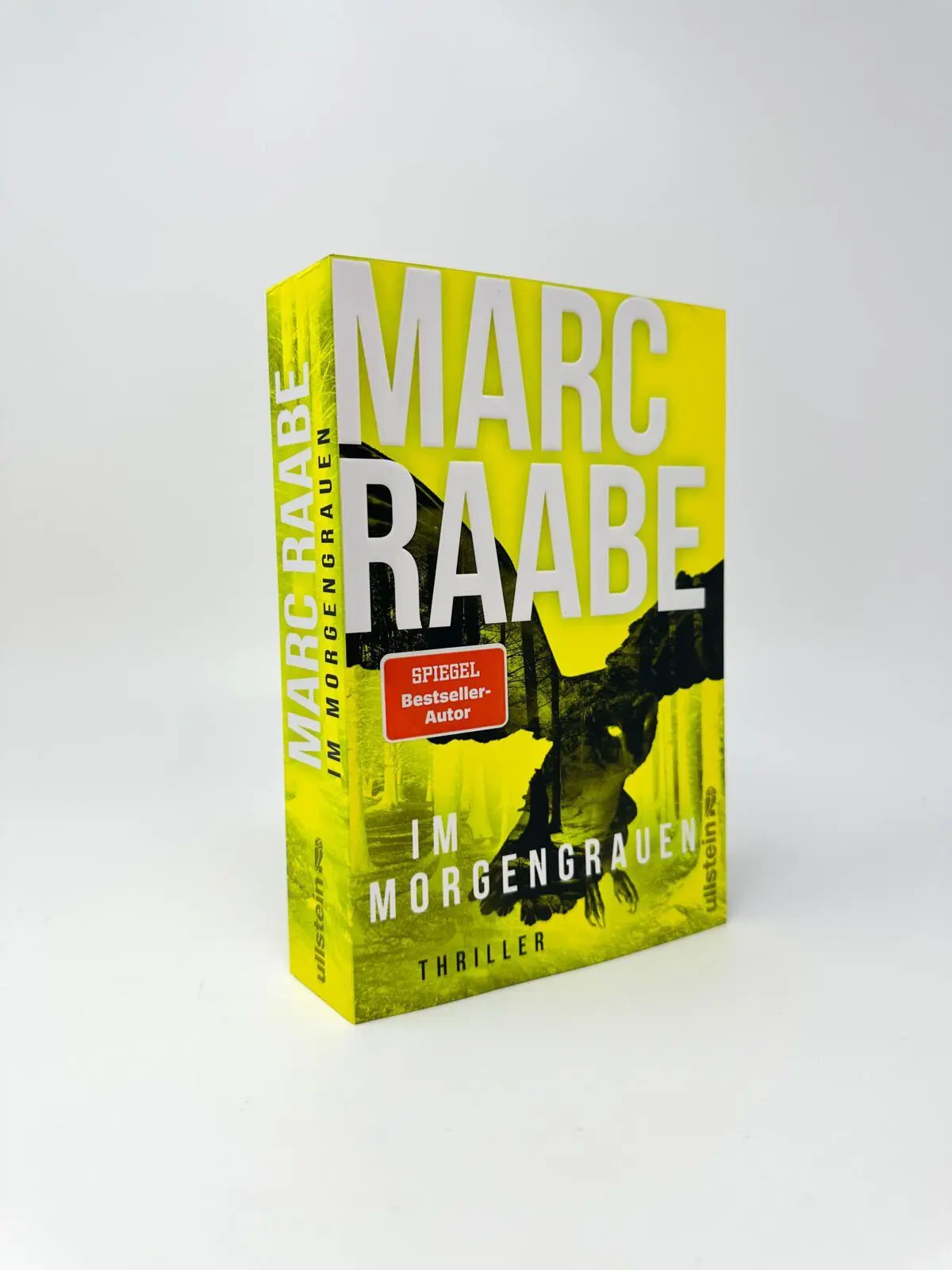 Bild: 9783864933653 | Im Morgengrauen | Marc Raabe | Taschenbuch | Art Mayer-Serie | 576 S.