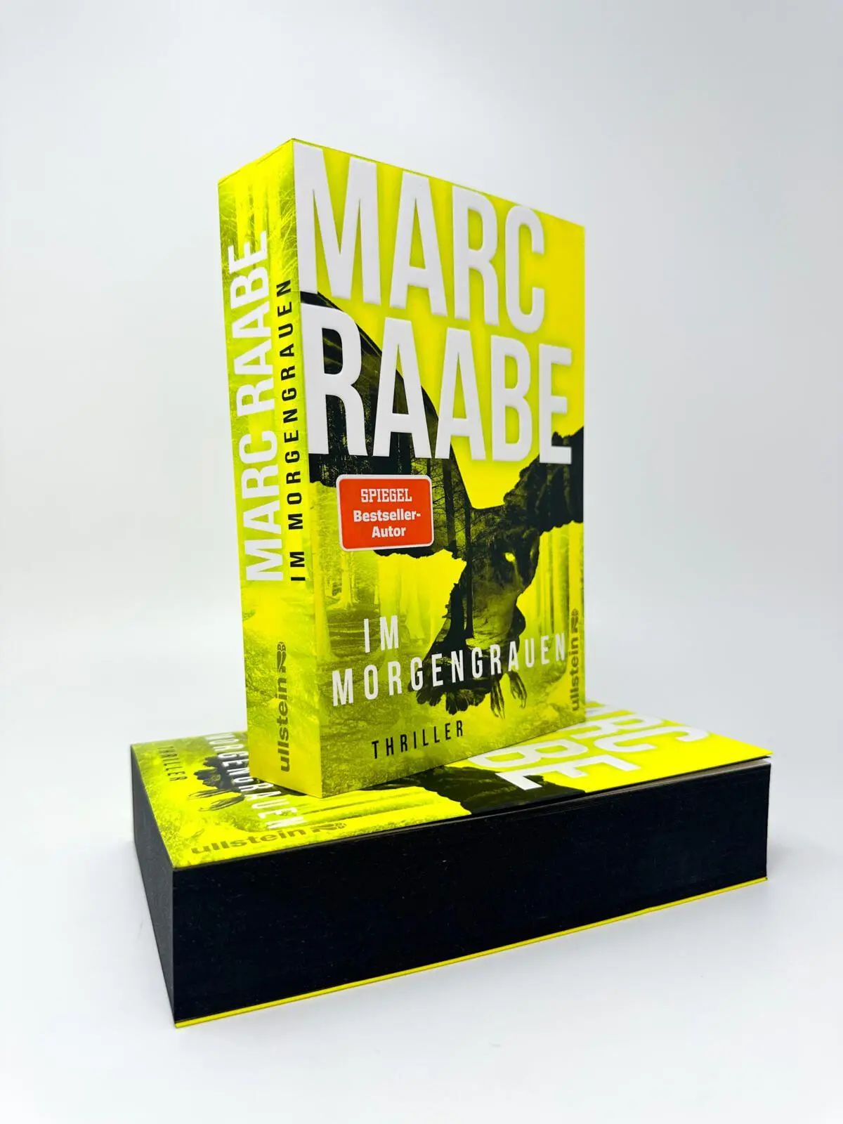 Bild: 9783864933653 | Im Morgengrauen | Marc Raabe | Taschenbuch | Art Mayer-Serie | 576 S.