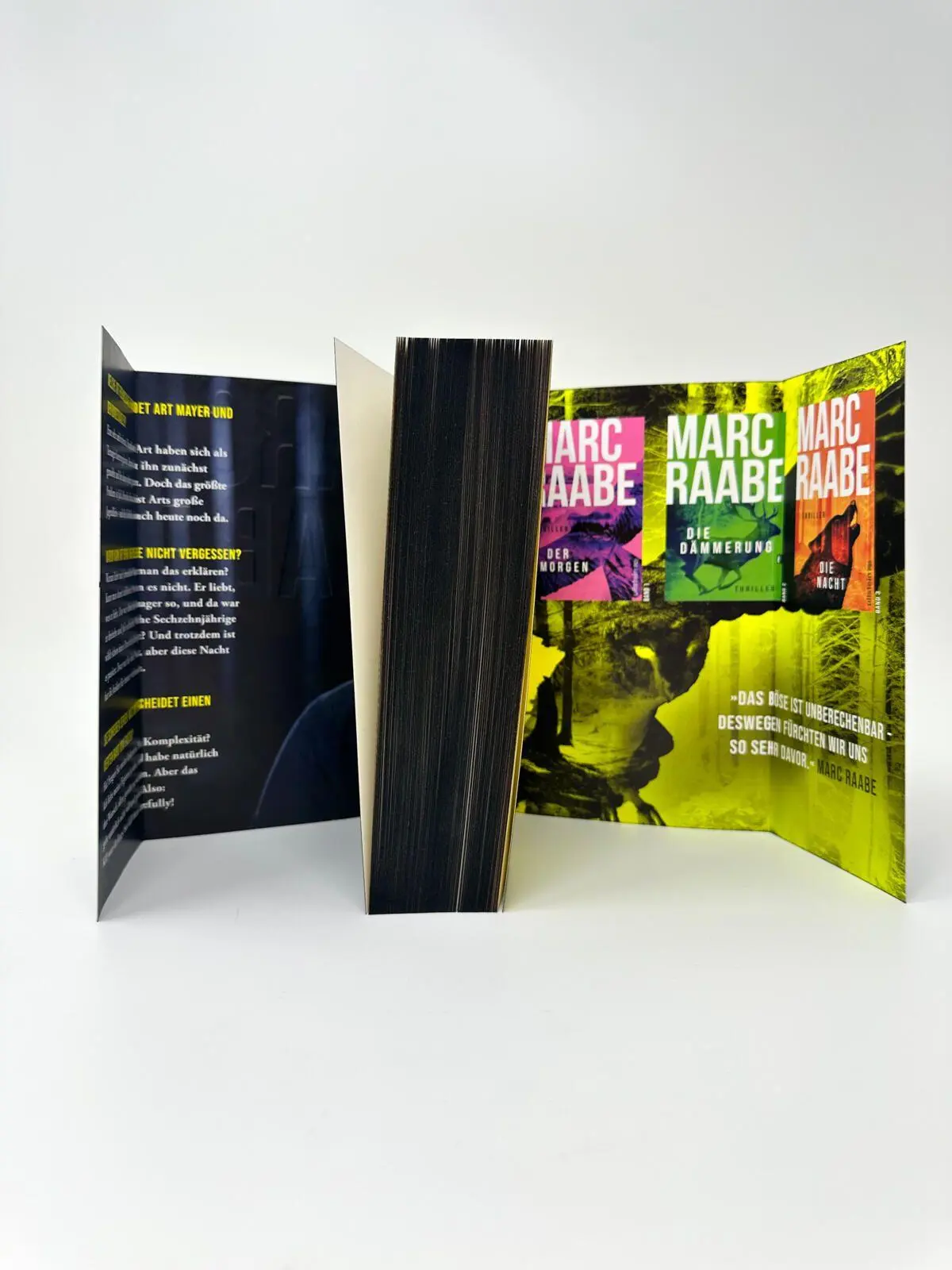 Bild: 9783864933653 | Im Morgengrauen | Marc Raabe | Taschenbuch | Art Mayer-Serie | 576 S.