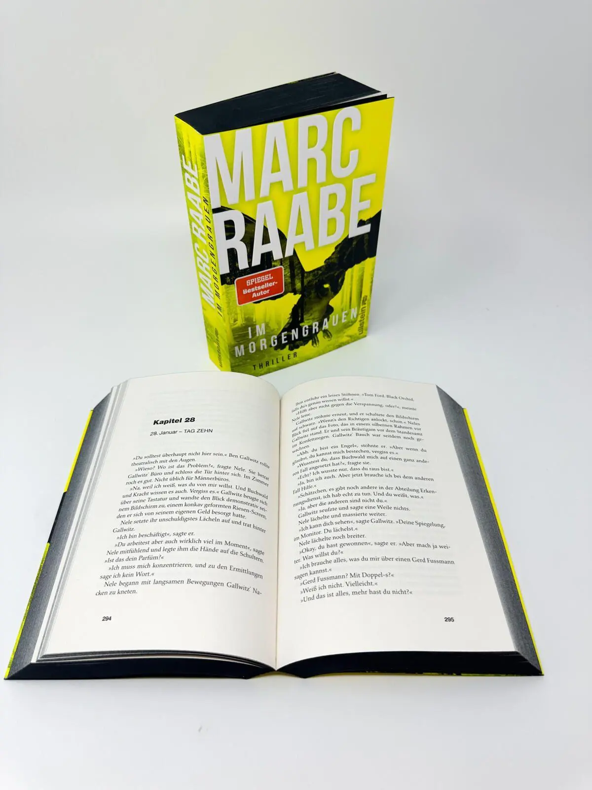 Bild: 9783864933653 | Im Morgengrauen | Marc Raabe | Taschenbuch | Art Mayer-Serie | 576 S.