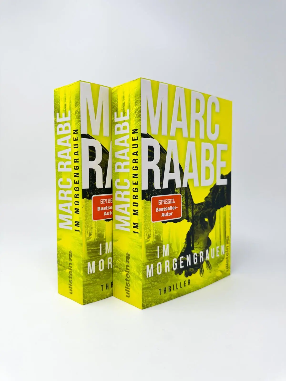 Bild: 9783864933653 | Im Morgengrauen | Marc Raabe | Taschenbuch | Art Mayer-Serie | 576 S.
