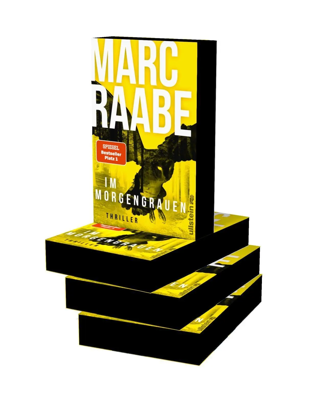 Bild: 9783864933653 | Im Morgengrauen | Marc Raabe | Taschenbuch | Art Mayer-Serie | 576 S.