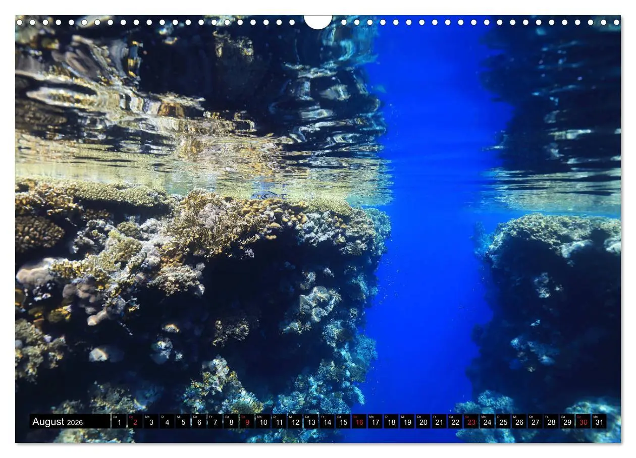 Bild: 9783457723753 | Rotes Meer Unterwasser (Wandkalender 2026 DIN A3 quer), CALVENDO...
