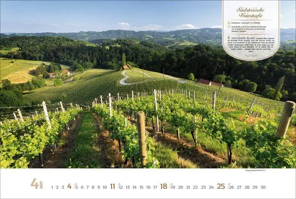 Bild: 9783819303753 | Weinstraßen Europas 2027 | Verlag Korsch | Kalender | 14 S. | Deutsch