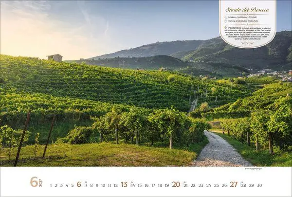 Bild: 9783819303753 | Weinstraßen Europas 2027 | Verlag Korsch | Kalender | 14 S. | Deutsch
