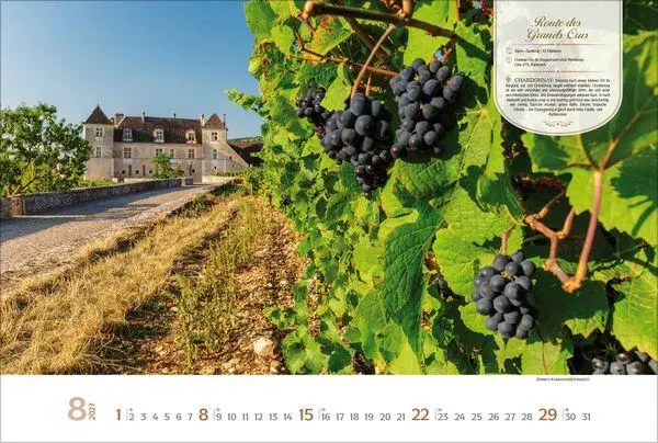 Bild: 9783819303753 | Weinstraßen Europas 2027 | Verlag Korsch | Kalender | 14 S. | Deutsch