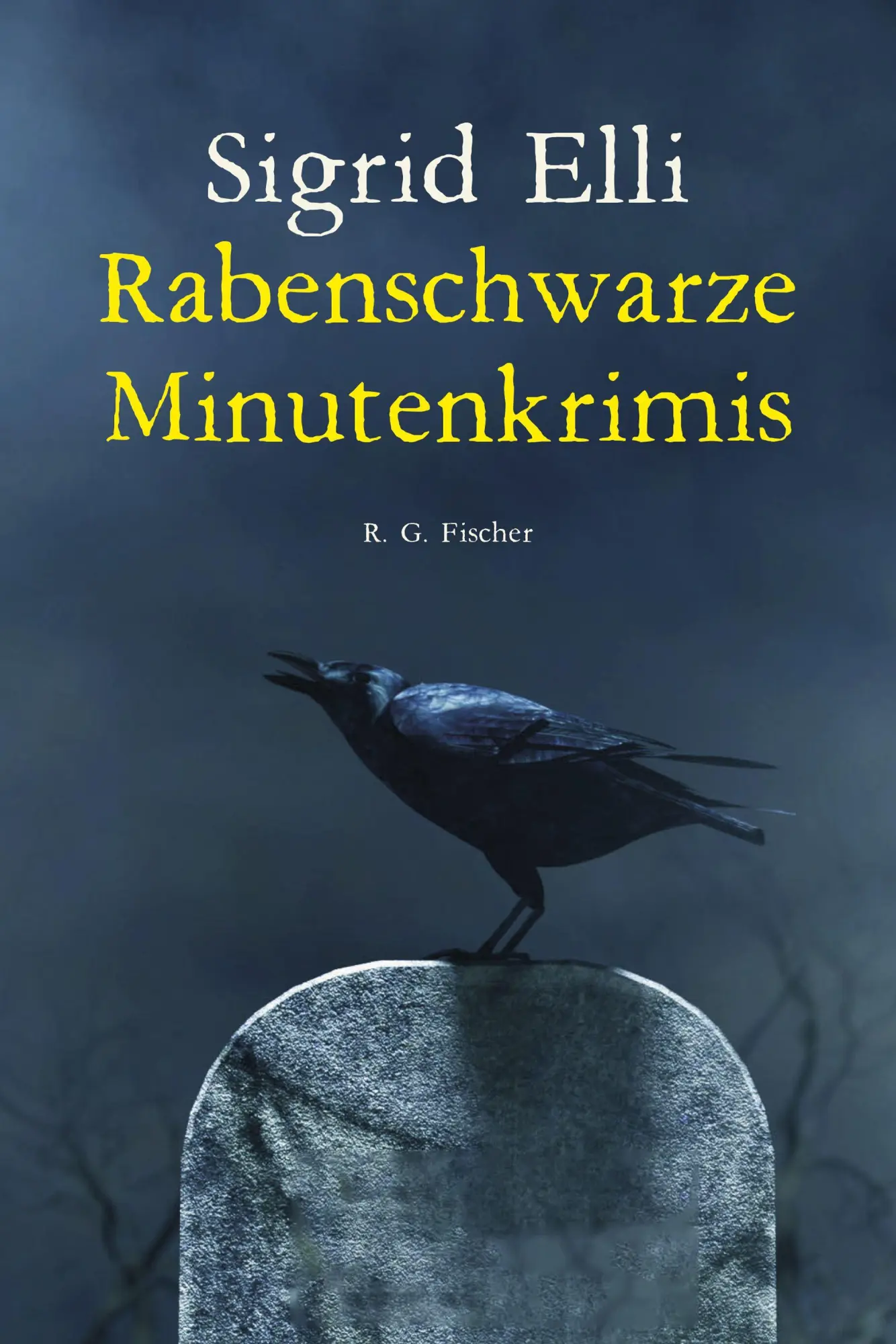 Cover: 9783830193753 | Rabenschwarze Minutenkrimis | Sigrid Elli | Taschenbuch | 132 S.