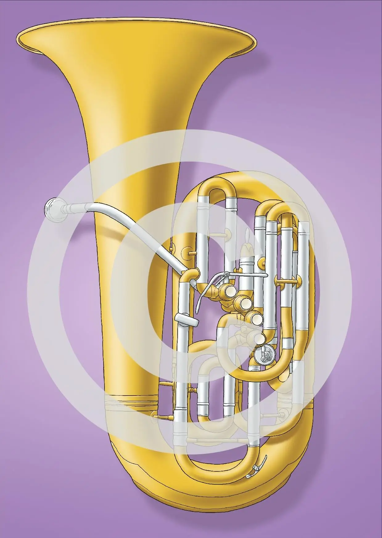 Bild: 9783940533753 | Musikinstrumente auf Karten | Martin Leuchtner (u. a.) | Taschenbuch