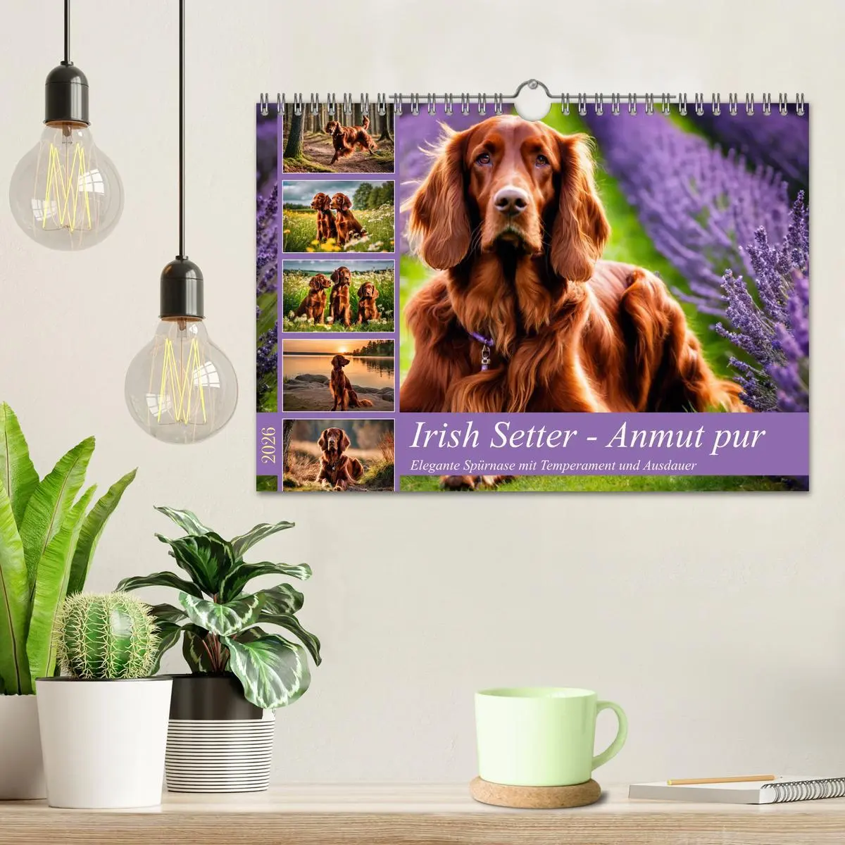 Bild: 9783457333853 | Irish Setter - Anmut pur (Wandkalender 2026 DIN A4 quer), CALVENDO...