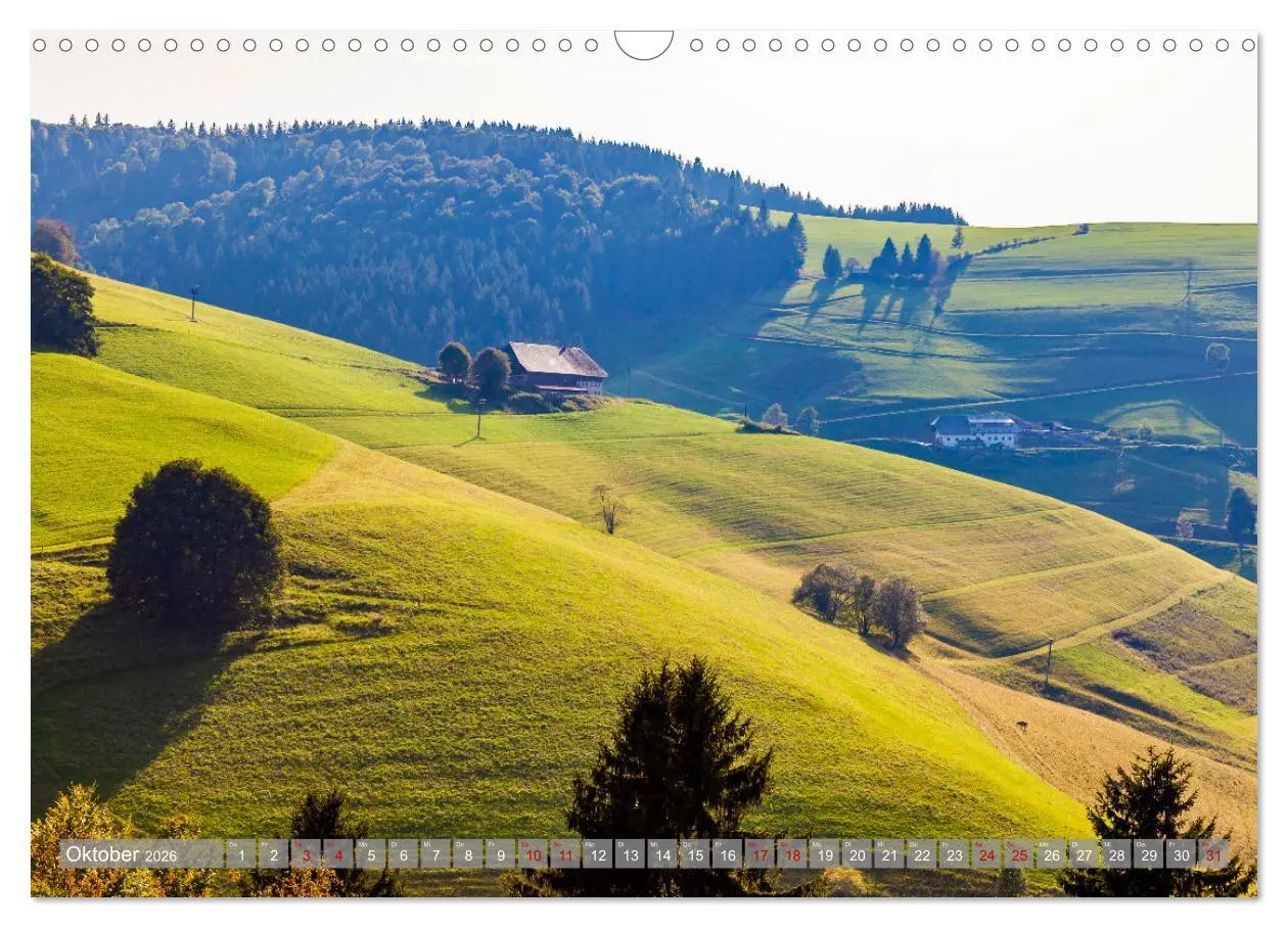 Bild: 9783457643853 | Ein Jahr im Schwarzwald (Wandkalender 2026 DIN A3 quer), CALVENDO...
