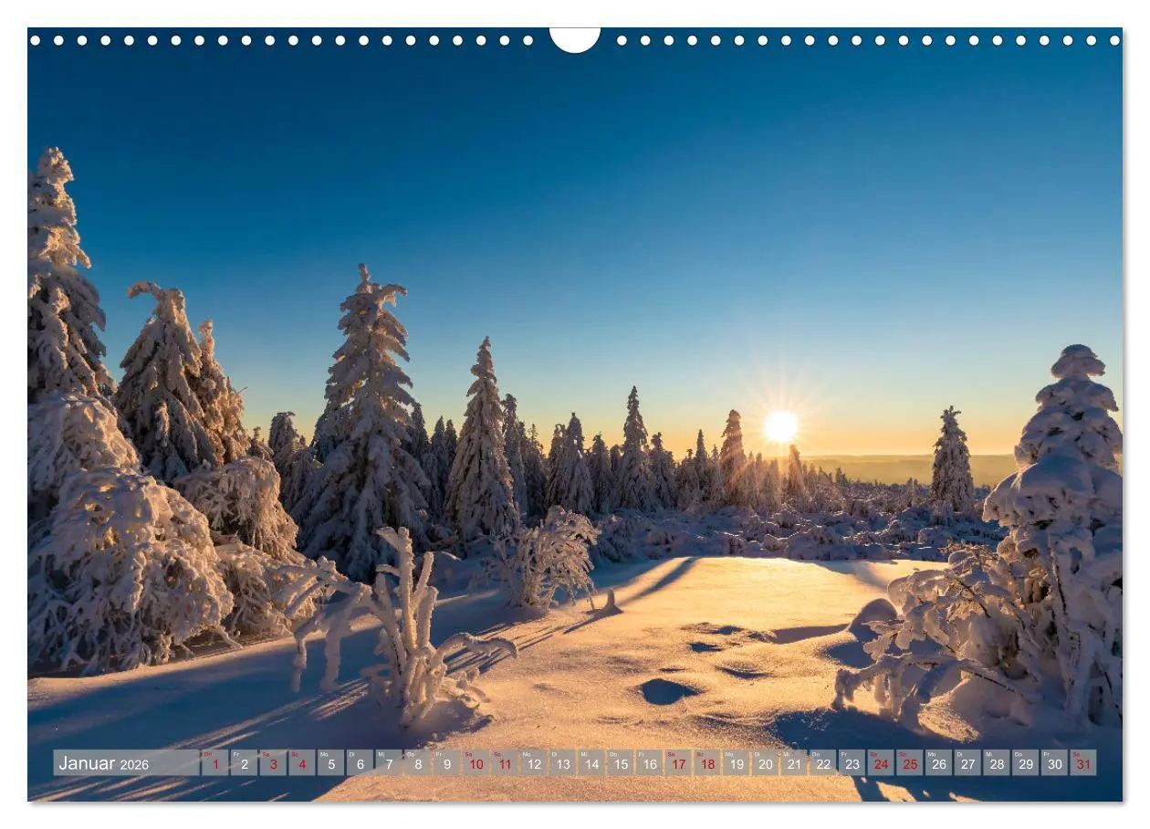 Bild: 9783457643853 | Ein Jahr im Schwarzwald (Wandkalender 2026 DIN A3 quer), CALVENDO...