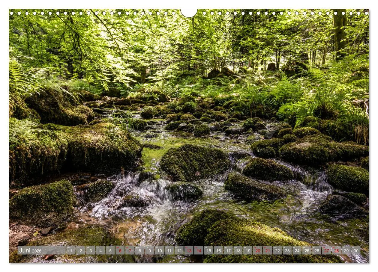Bild: 9783457643853 | Ein Jahr im Schwarzwald (Wandkalender 2026 DIN A3 quer), CALVENDO...