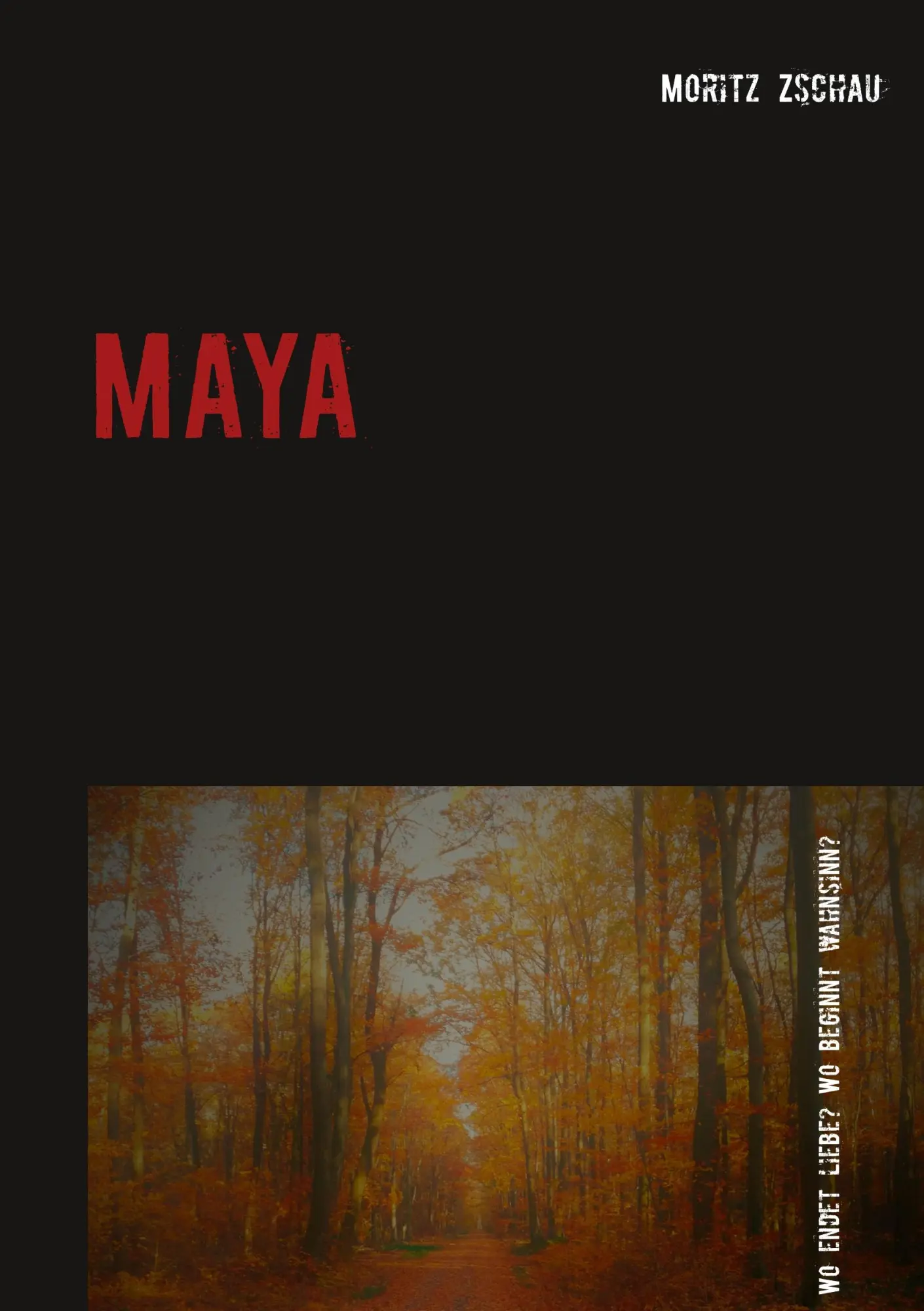 Cover: 9783749483853 | Maya | Wo endet Liebe? Wo beginnt Wahnsinn? | Moritz Zschau | Buch