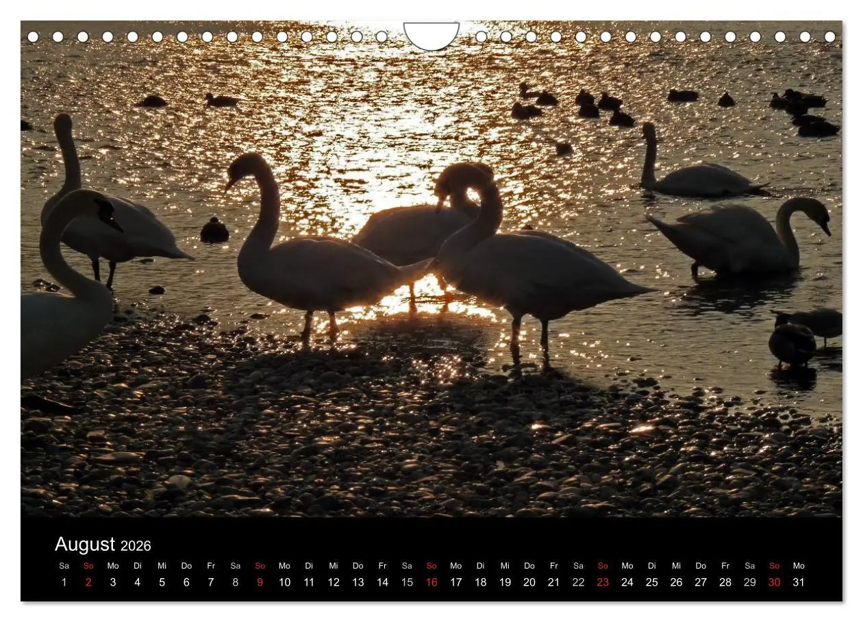 Bild: 9783516103953 | Die Isar - Von Scharnitz bis München (Wandkalender 2026 DIN A4...
