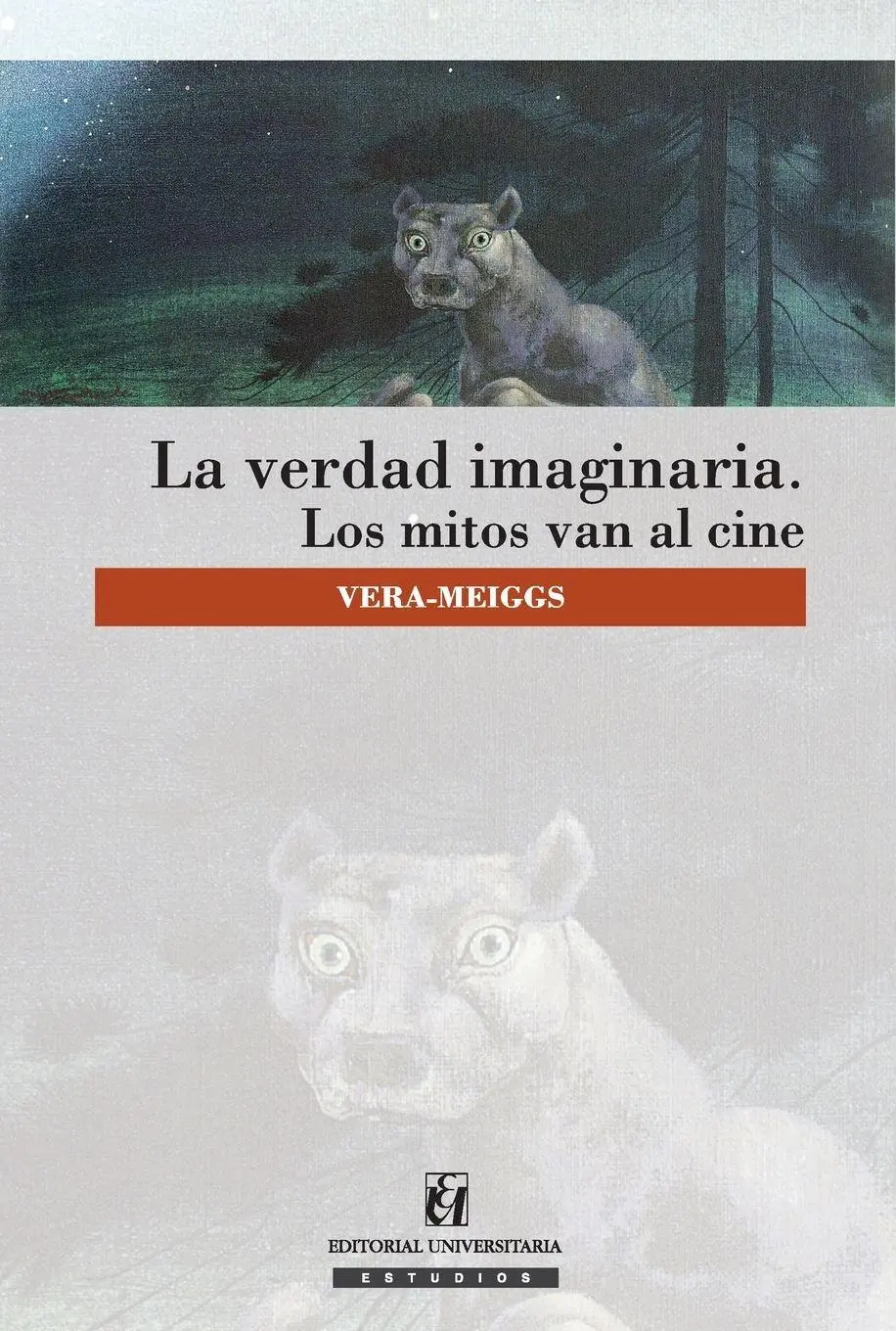 Cover: 9789561123953 | La verdad imaginaria | David Vera-Meiggs | Taschenbuch | Spanisch