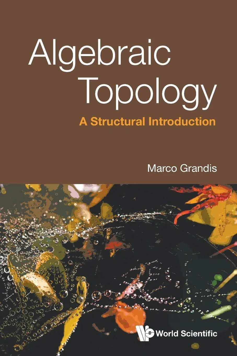 Cover: 9789819814053 | ALGEBRAIC TOPOLOGY | A STRUCTURAL INTRODUCTION | Marco Grandis | Buch