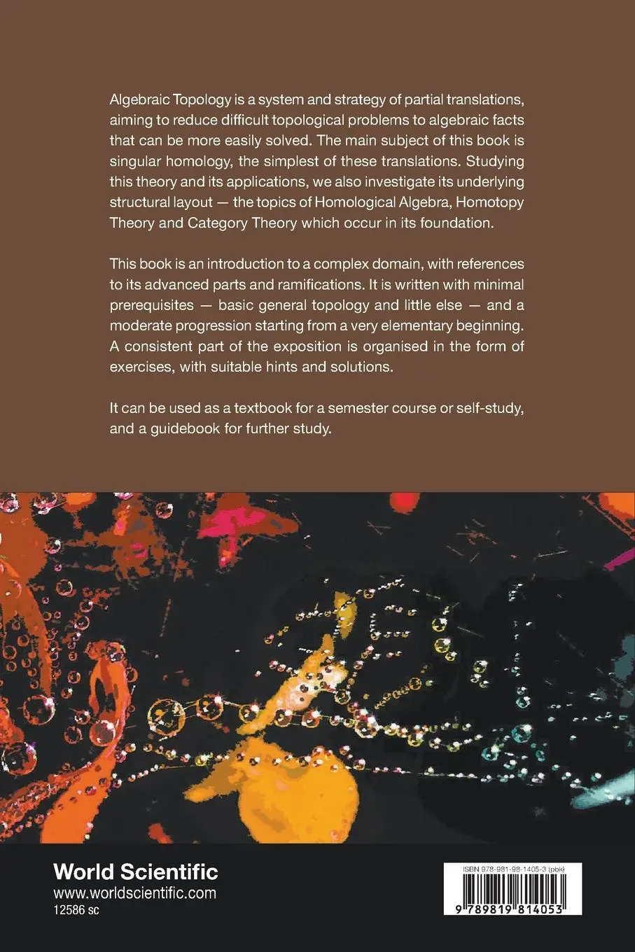 Rückseite: 9789819814053 | ALGEBRAIC TOPOLOGY | A STRUCTURAL INTRODUCTION | Marco Grandis | Buch