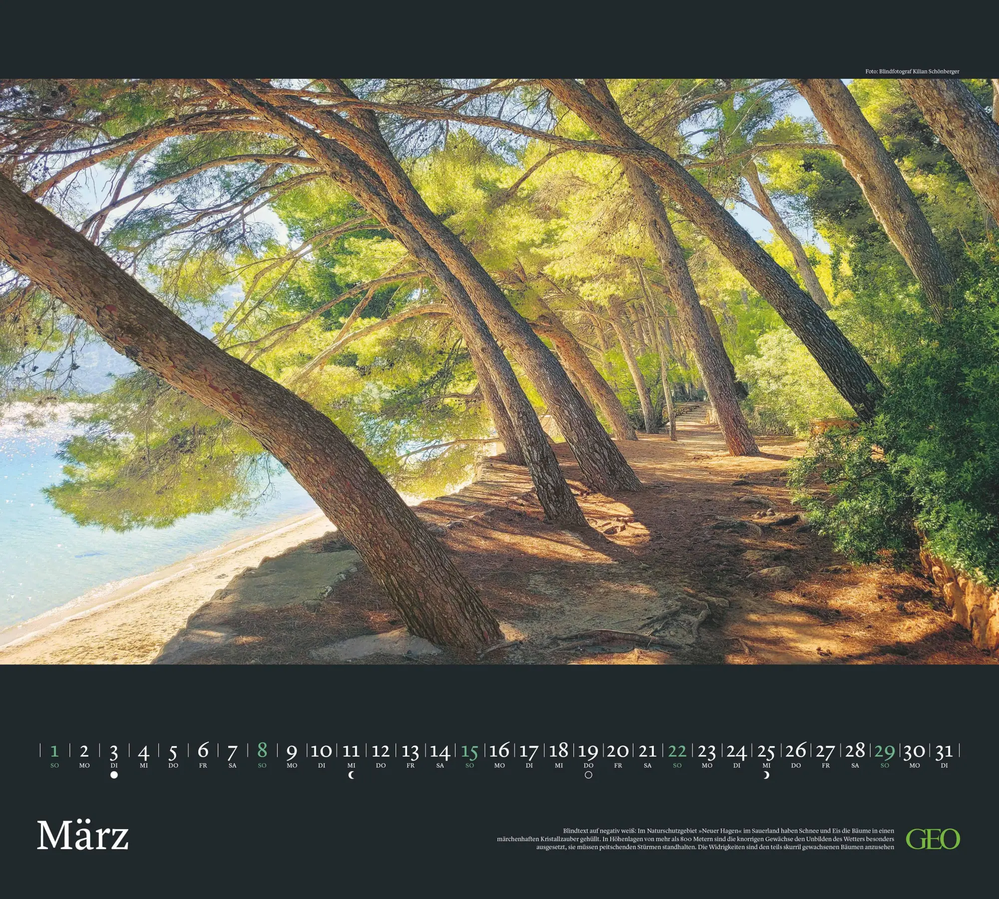Bild: 4069095004153 | GEO Im Licht des Südens 2026 - Wand-Kalender - Reise-Kalender -...