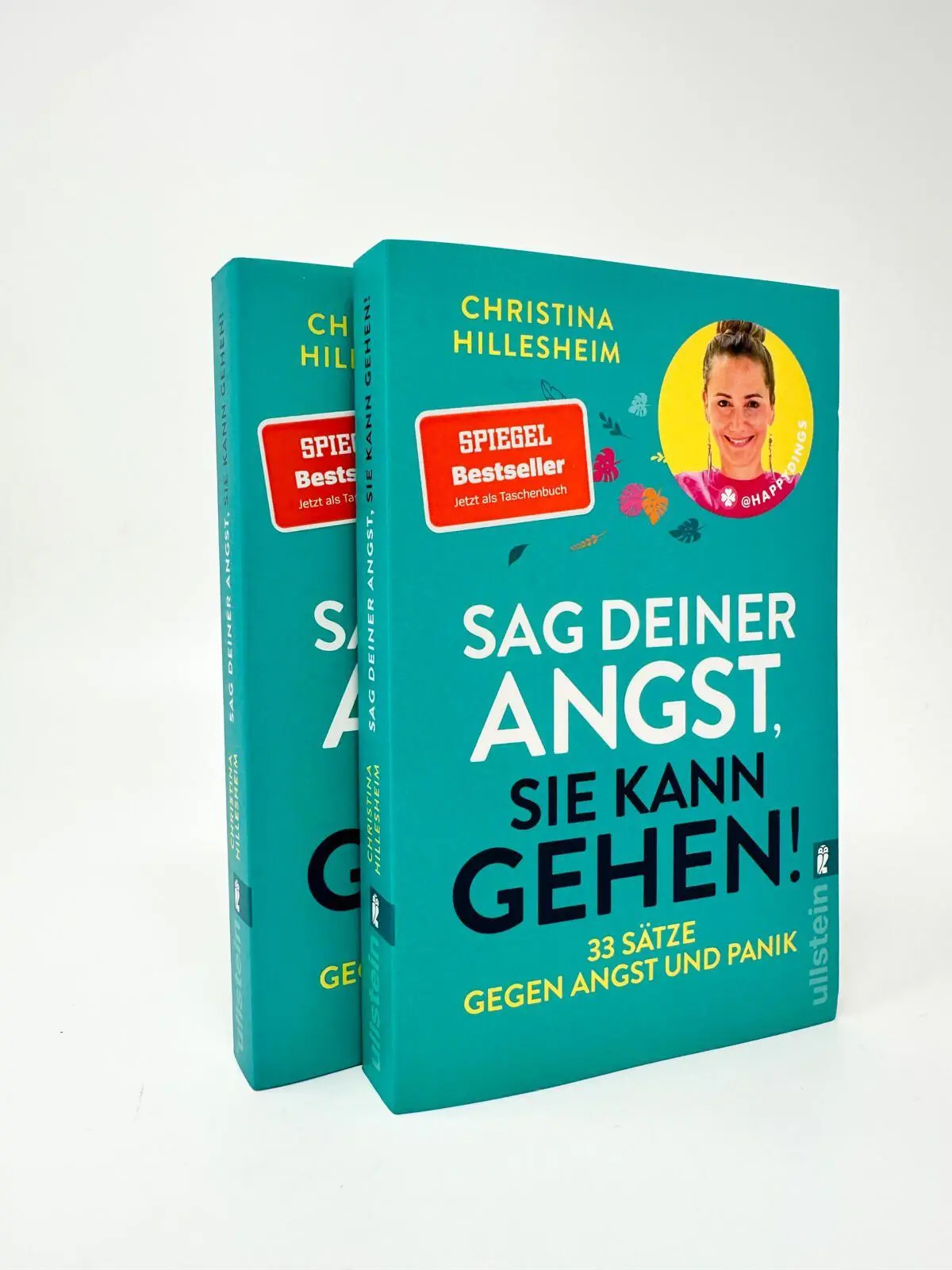 Bild: 9783548074153 | Sag deiner Angst, sie kann gehen! | Christina Hillesheim | Taschenbuch