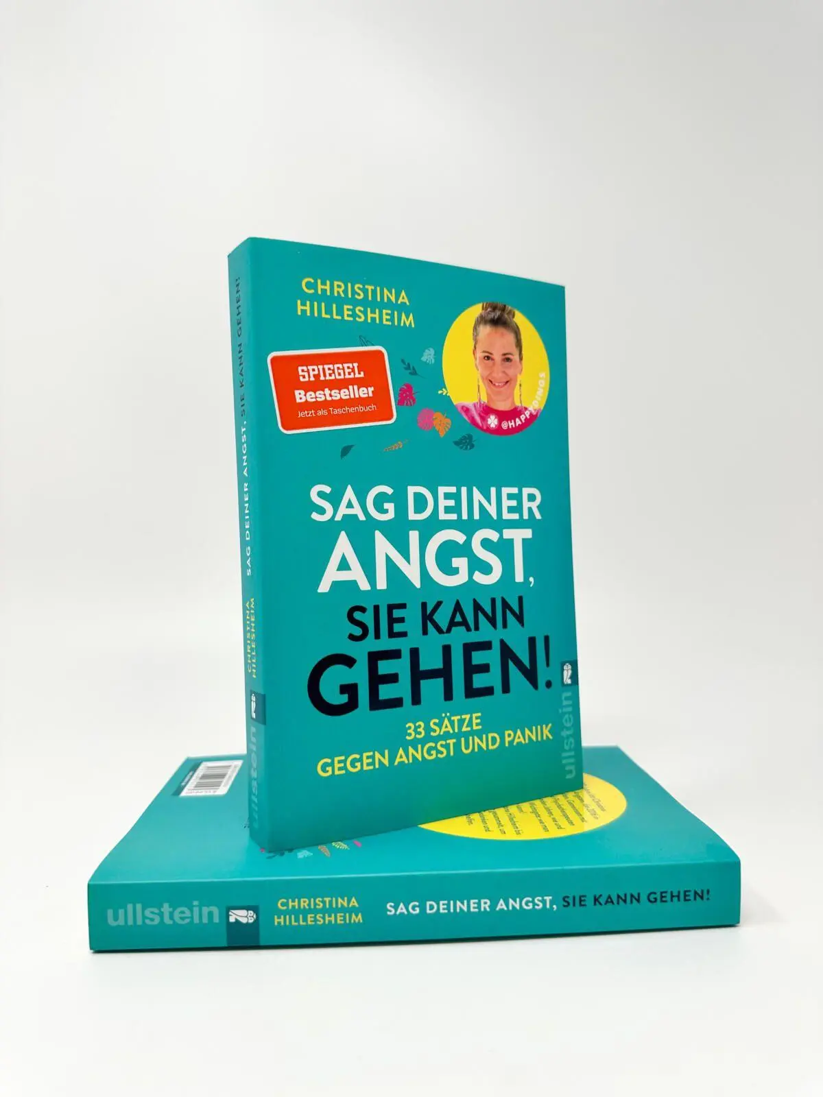 Bild: 9783548074153 | Sag deiner Angst, sie kann gehen! | Christina Hillesheim | Taschenbuch