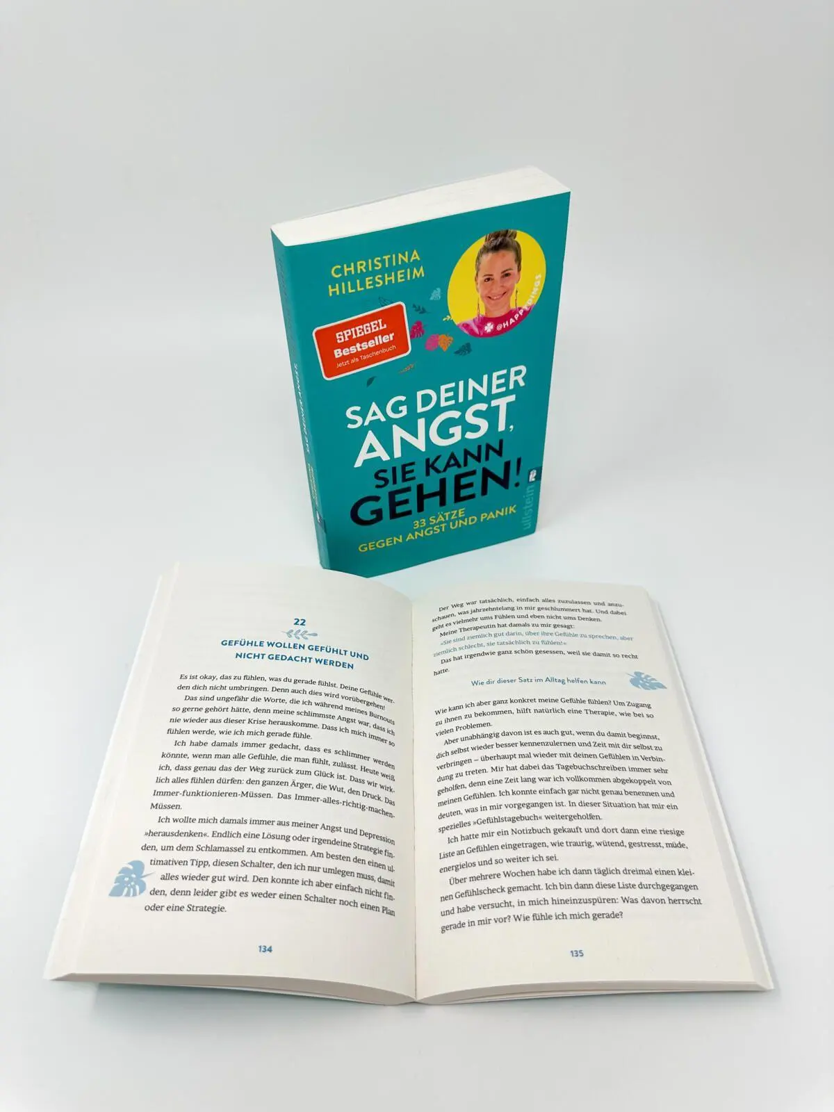 Bild: 9783548074153 | Sag deiner Angst, sie kann gehen! | Christina Hillesheim | Taschenbuch