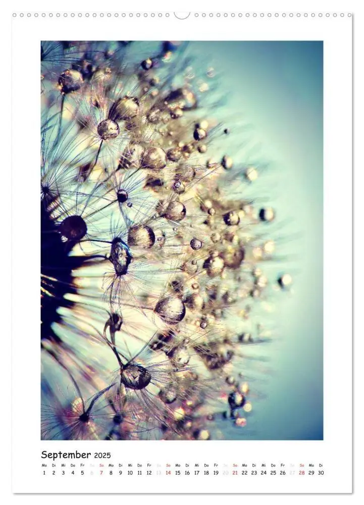 Bild: 9783457054253 | Die Pusteblume neu erleben (Wandkalender 2025 DIN A2 hoch),...
