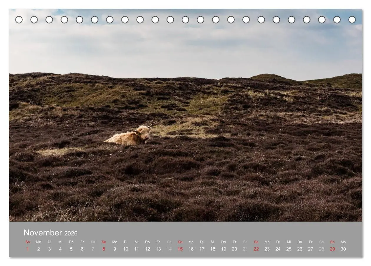 Bild: 9783457984253 | Texel - Meine Insel (Tischkalender 2026 DIN A5 quer), CALVENDO...