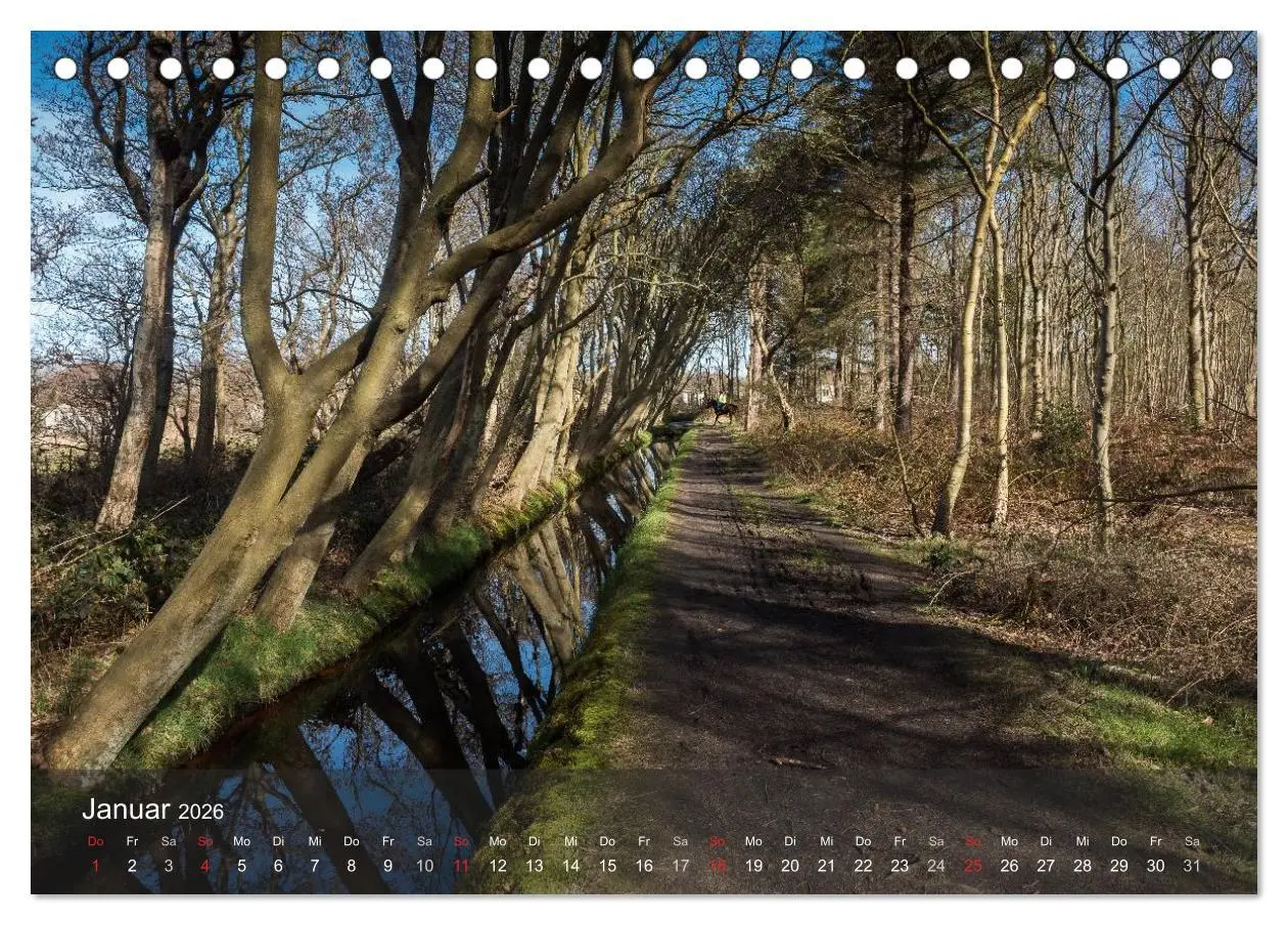 Bild: 9783457984253 | Texel - Meine Insel (Tischkalender 2026 DIN A5 quer), CALVENDO...